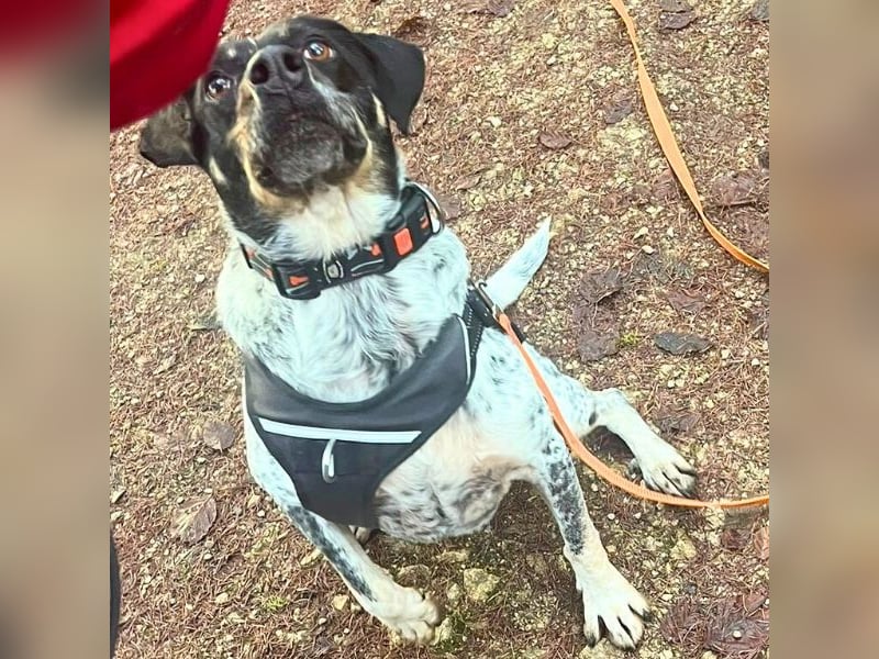 Bice - Das hat sie nicht verdient