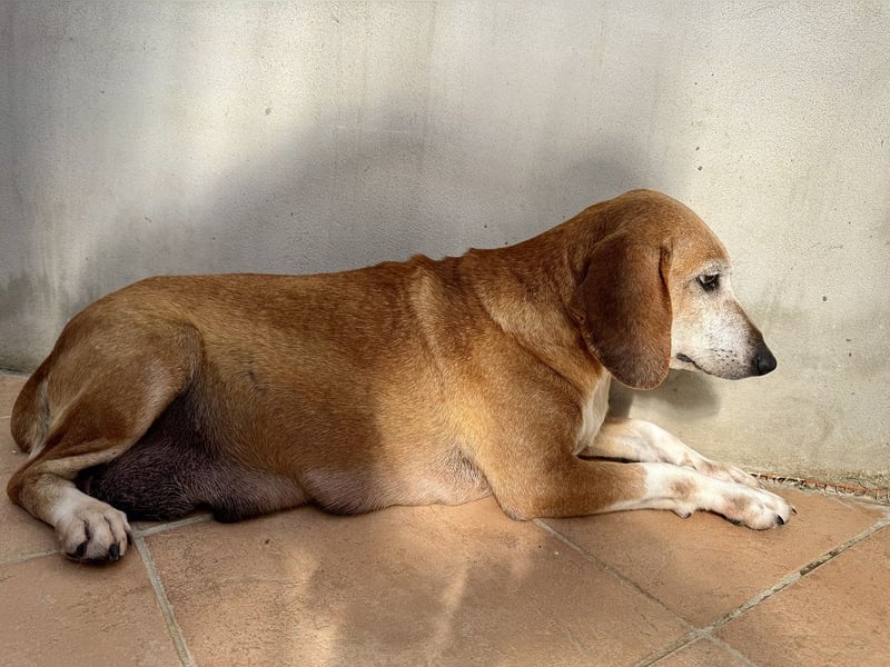Silke - Zehn Jahre Stärke, jetzt ist sie an der Reihe