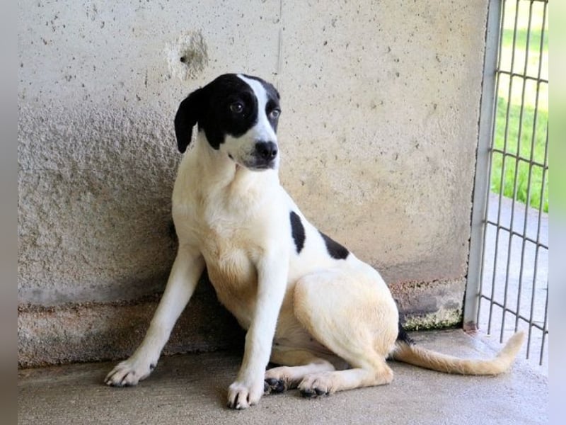 Raakel - Ein Anfang, der nie kam