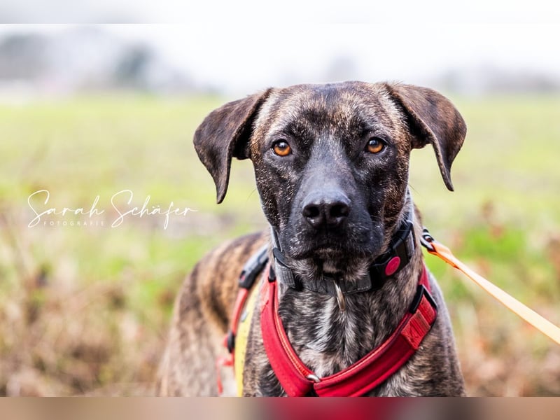 Branson - taut langsam auf und sucht Menschen mit Zeit