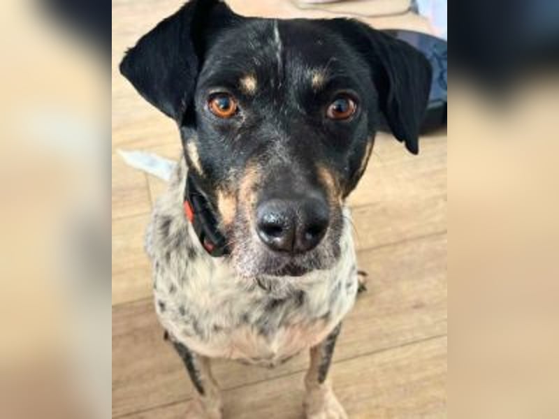 Bice - Das hat sie nicht verdient