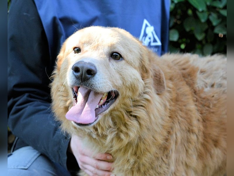 Gibble - Wie ein Wort, das auf der Zunge liegt ...