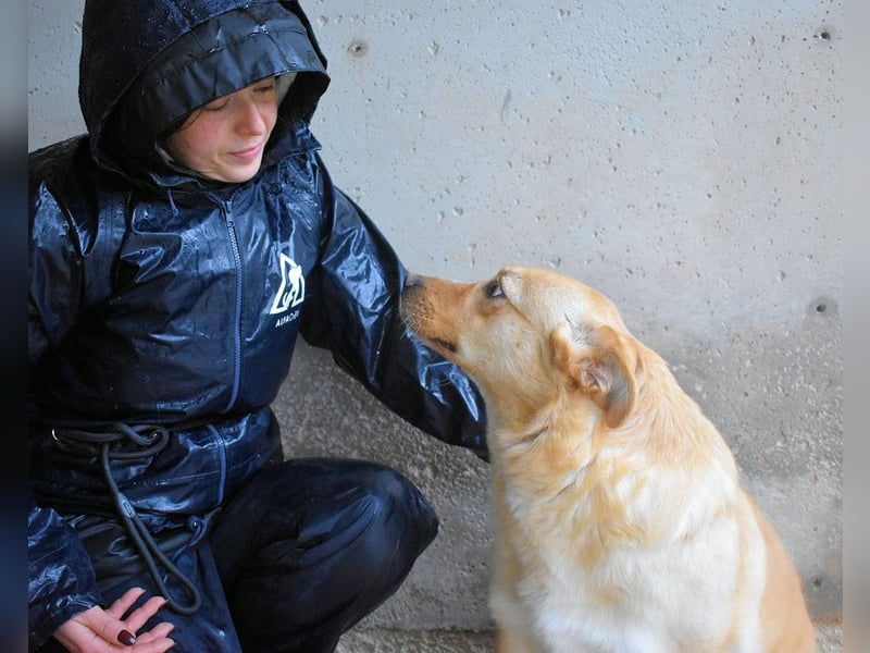 Sigrid - es ist wankelmütig, dieses Schicksal