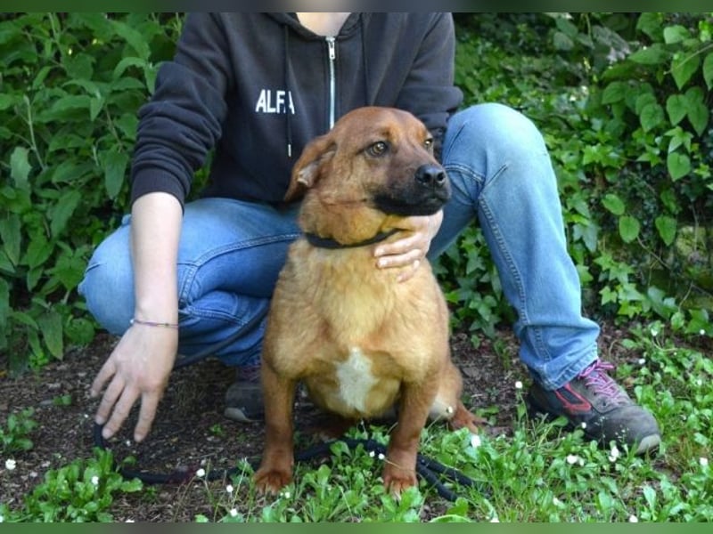 Monaldo - In der Ruhe liegt die Kraft!