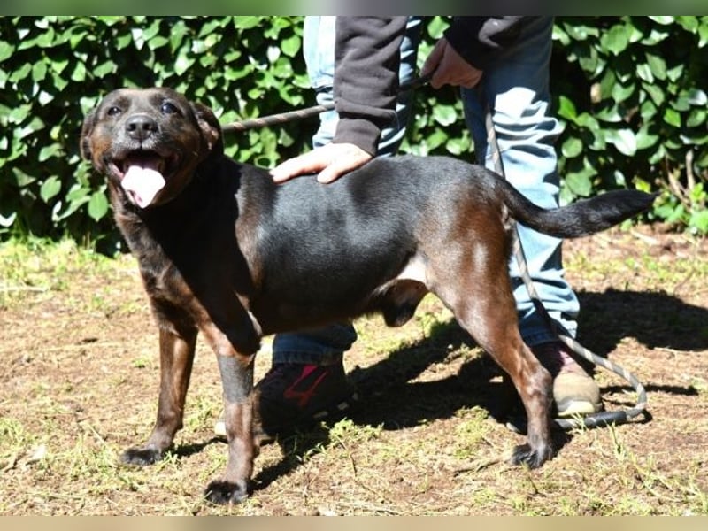 Rellyt - mit dem ganz besonderen Blick