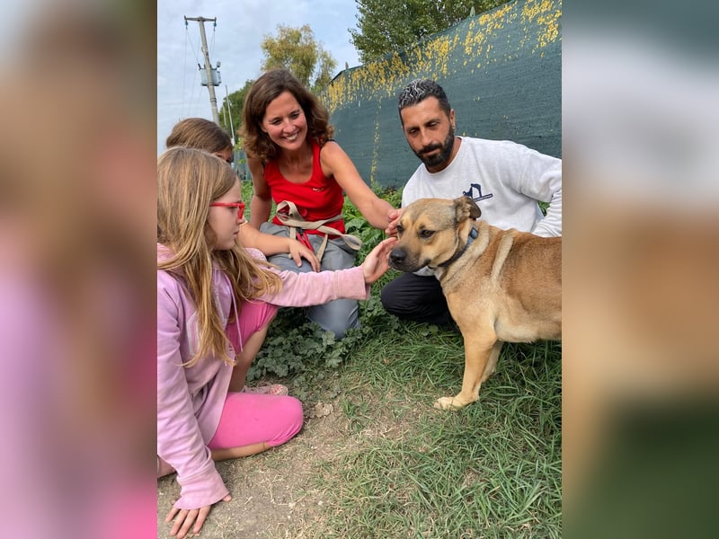 Faudor - Bist du die letzte Station meiner Odyssee?