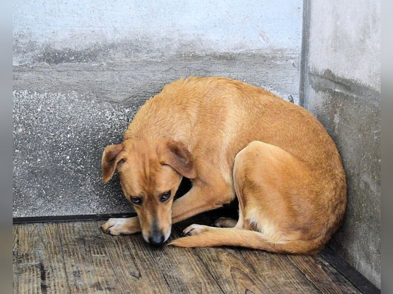 Idalee - Die Wunde namens Zeit