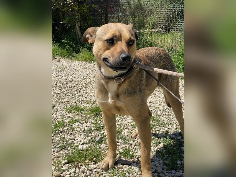 Faudor - Bist du die letzte Station meiner Odyssee?