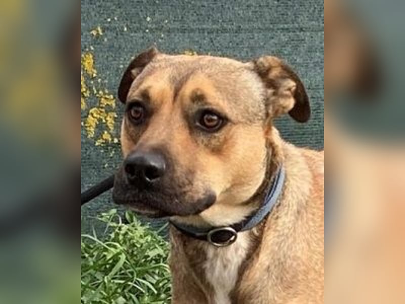 Faudor - Bist du die letzte Station meiner Odyssee? Faudor - Bist du die letzte Station meiner Odyssee?