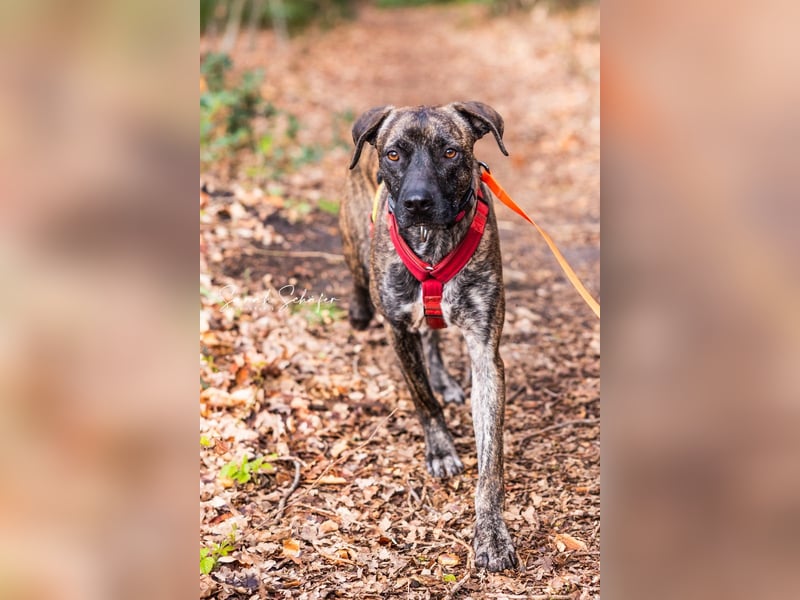 Branson - taut langsam auf und sucht Menschen mit Zeit