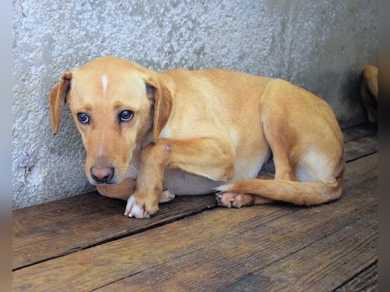 Bendix - wenn du mutig bist, dann bin ich es auch!