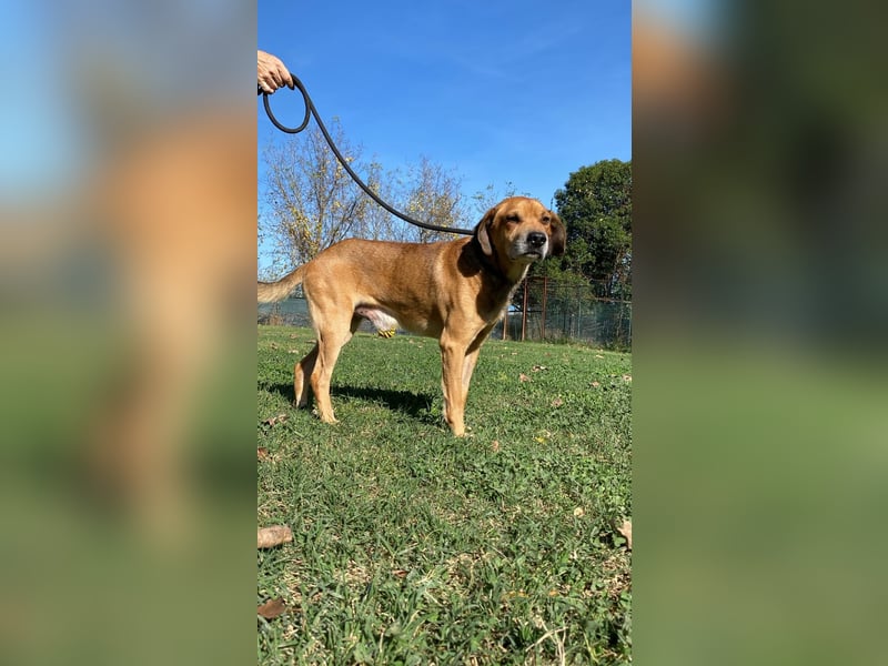 Houdini - ein frischer Wind