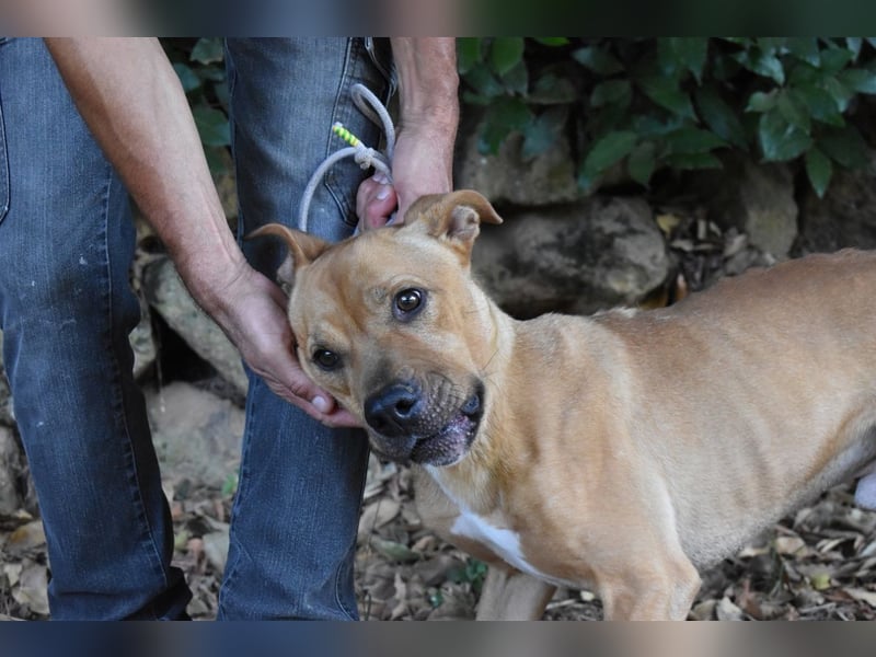 Moises - Wie kannst Du sein?