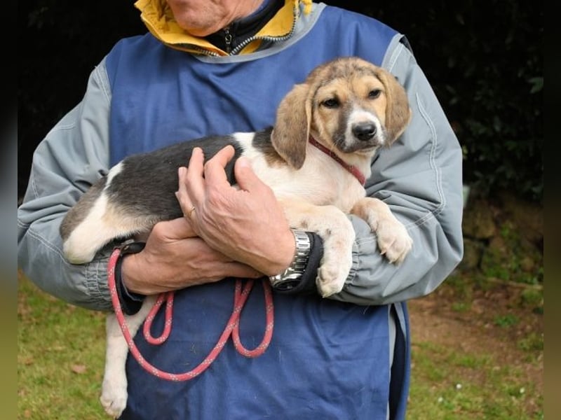Wasker - Als Mama noch bei uns war