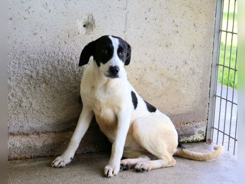 Raakel - Ein Anfang, der nie kam