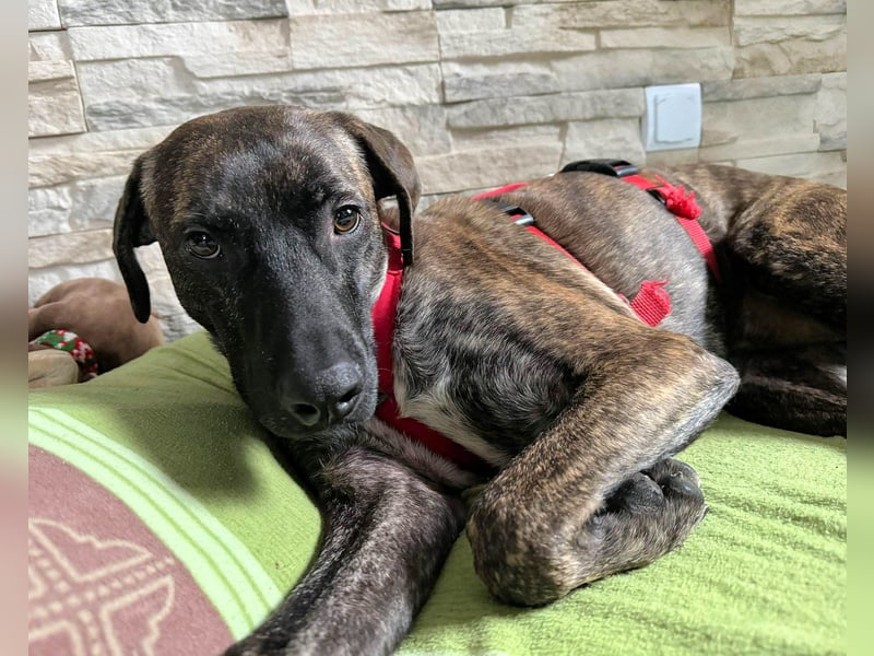 Branson - taut langsam auf und sucht Menschen mit Zeit