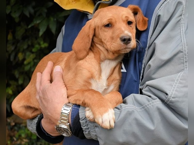 Wixelle - Als Mama noch bei uns war