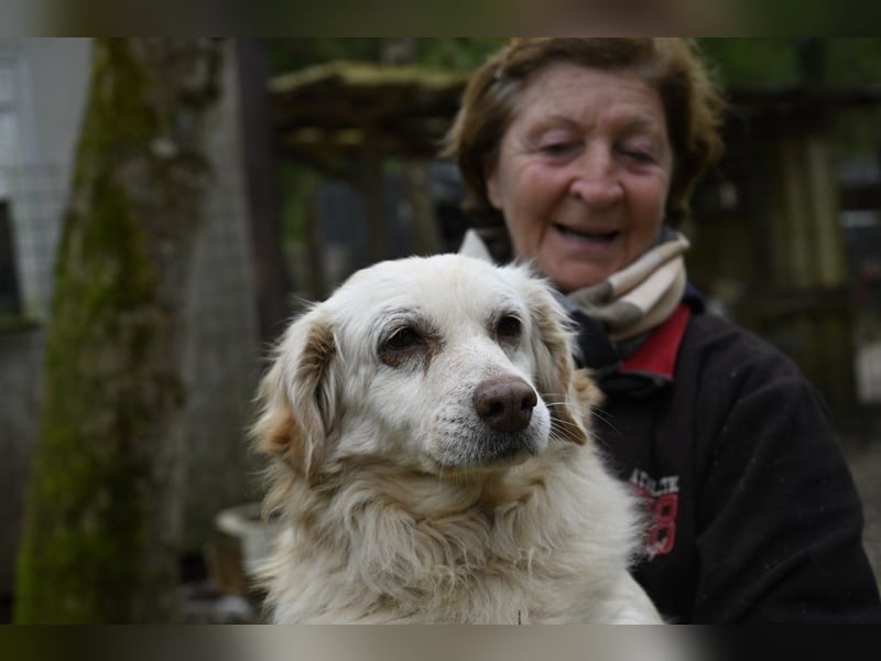 Ruby - wenn aus vorsichtigem Mut echtes Vertrauen wächst