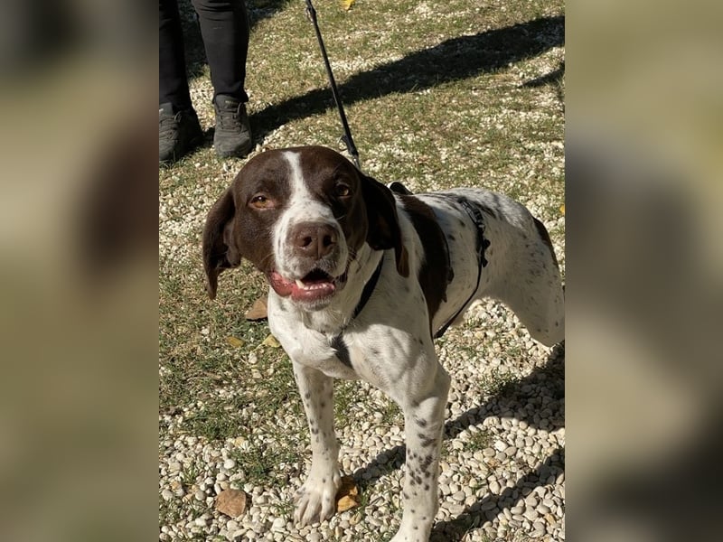 Sandro - Liebster Freigeist sucht Familie (gerne mit Kindern)