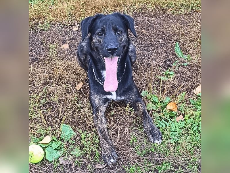 Adam - Sieben Jahre - und noch ein ganzes Leben vor sich