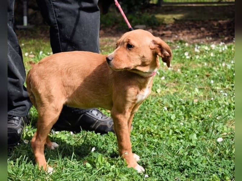 Wixelle - Als Mama noch bei uns war