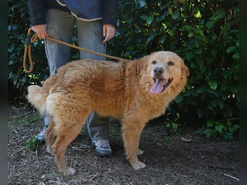 Gibble - Wie ein Wort, das auf der Zunge liegt ...