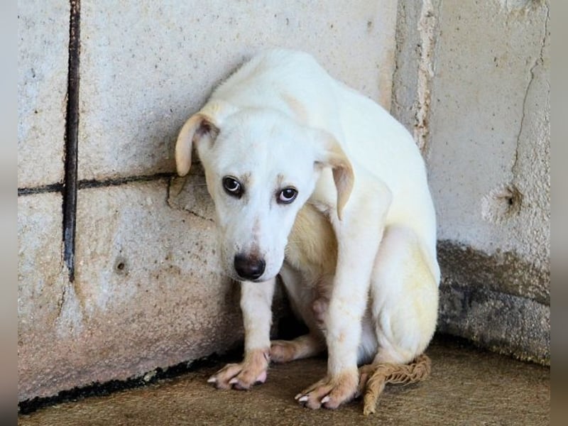 Radford - Ein Anfang, der nie kam