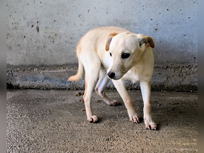 Elvio - seine Mut-Münzen sind fast aufgebraucht
