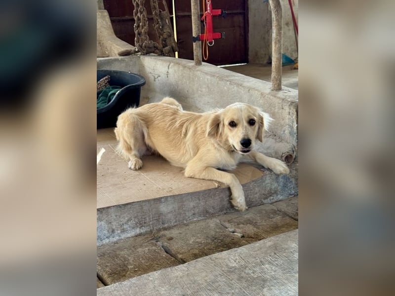 Demy - Das Leben könnte so schön sein!