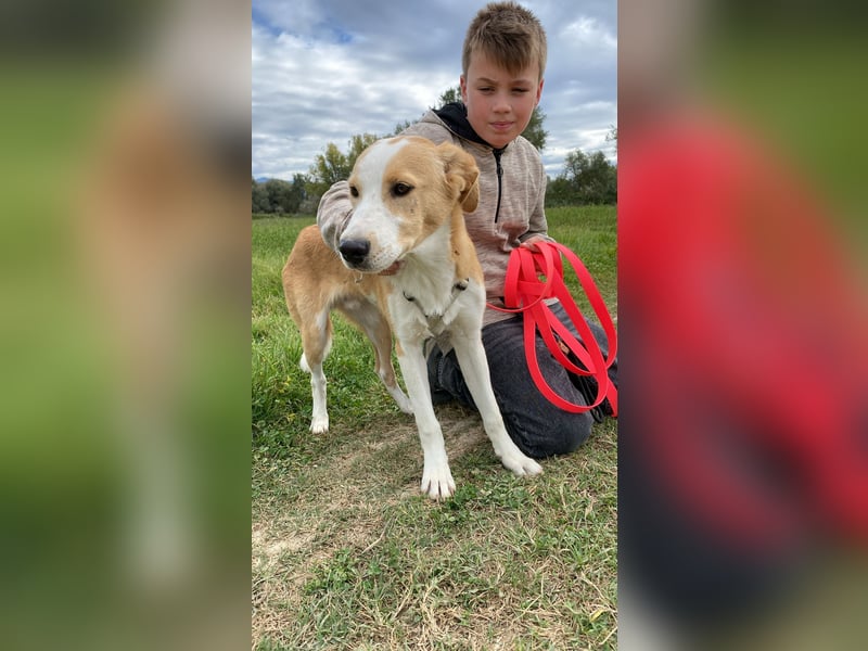 Wurstel - Die leise Hoffnung, dass etwas Besseres kommt