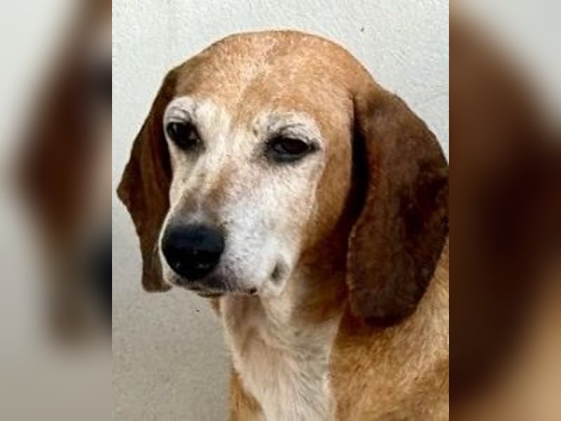 Silke - Zehn Jahre Stärke, jetzt ist sie an der Reihe