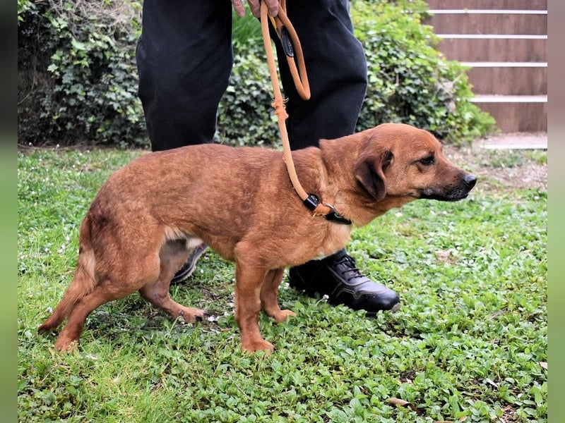 Monaldo - In der Ruhe liegt die Kraft!