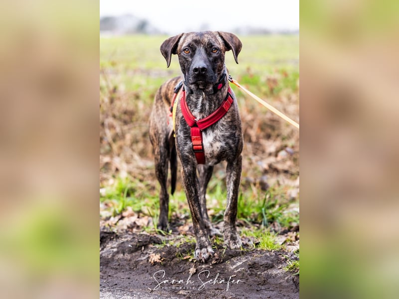 Branson - taut langsam auf und sucht Menschen mit Zeit