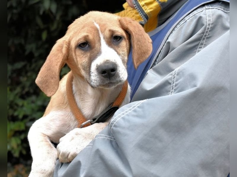 Waylo - Als Mama noch bei uns war