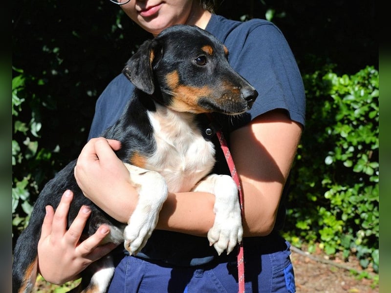 Zelia - Menschen zum Lachen bringen, das ist der Plan