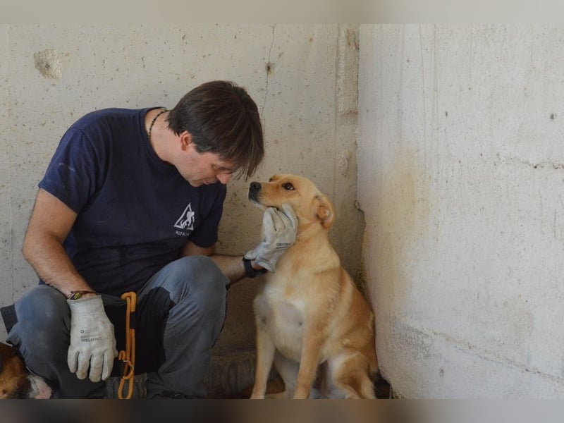 Sigrid - es ist wankelmütig, dieses Schicksal