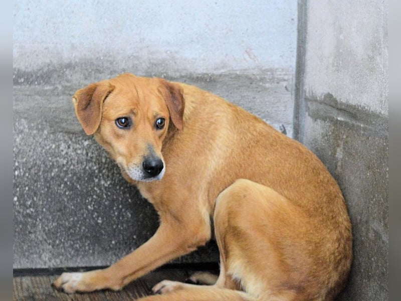 Idalee - Die Wunde namens Zeit