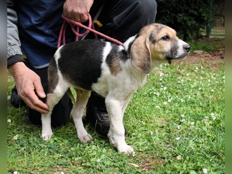 Wasker - Als Mama noch bei uns war