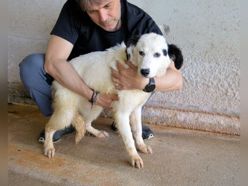 Rylando - Ein Anfang, der nie kam