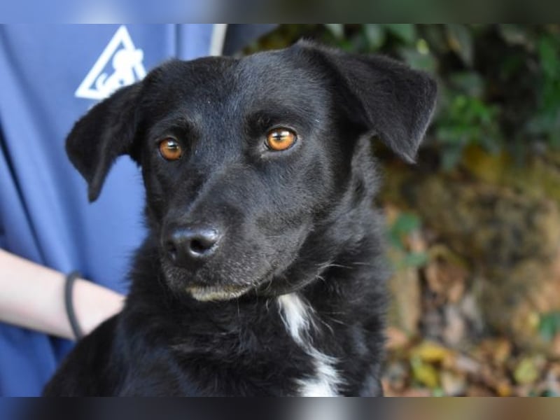 Rafeed - Möge der kleine Drache ihn beschützen