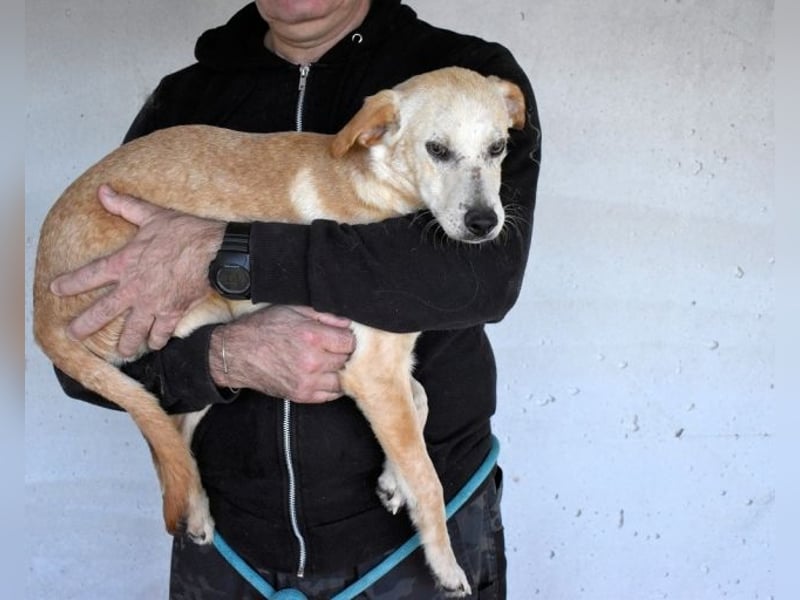 Boris - Wie lange würdest du das aushalten?