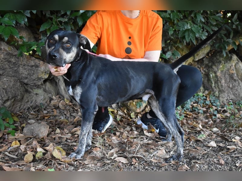 Kristian - SOS - Braucht ganz dringend ein Ausreiseticket