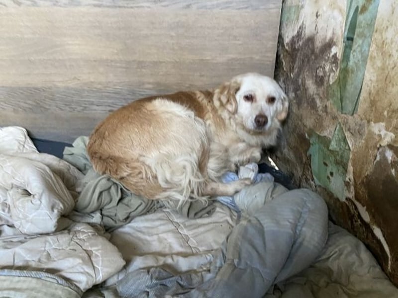 Ruby - Vom Dunkel ans Licht