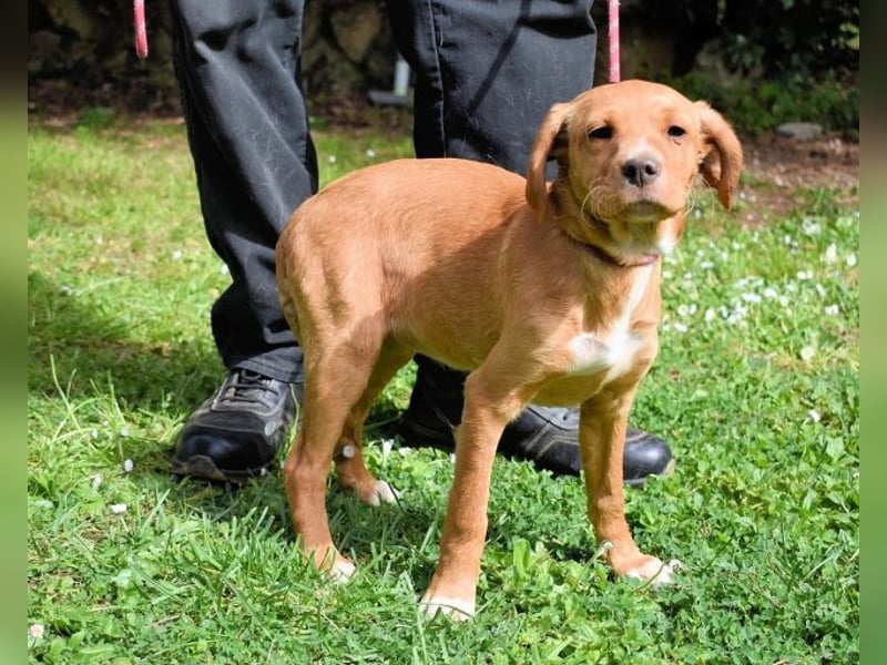 Wixelle - Als Mama noch bei uns war