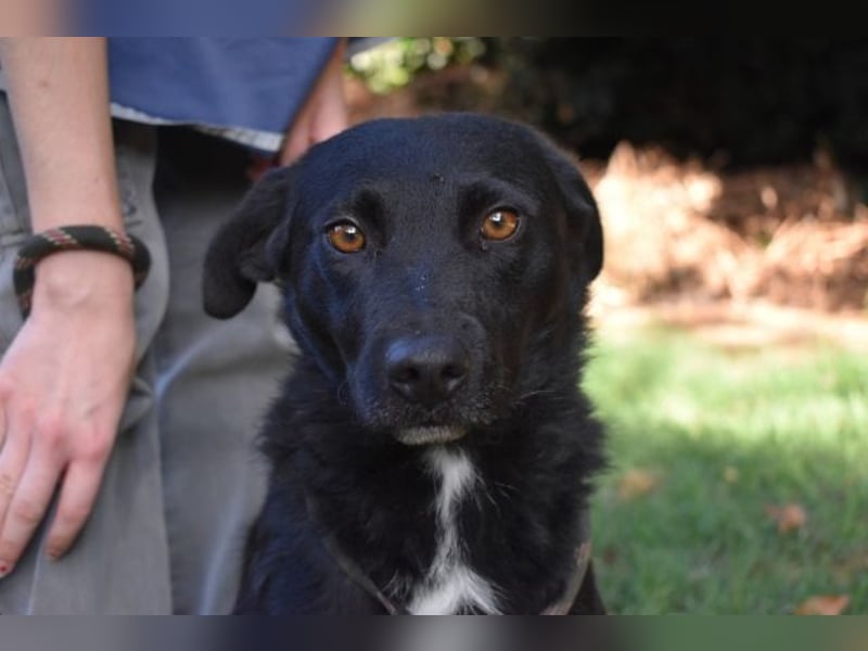 Rafeed - Möge der kleine Drache ihn beschützen