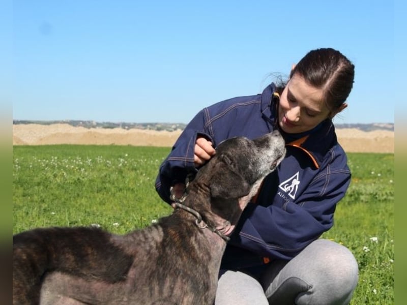 Gweni - SOS - Hoffnung auf ein Ende der Odyssee