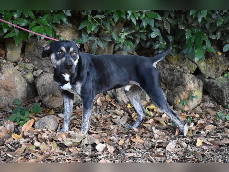 Kristian - SOS - Braucht ganz dringend ein Ausreiseticket