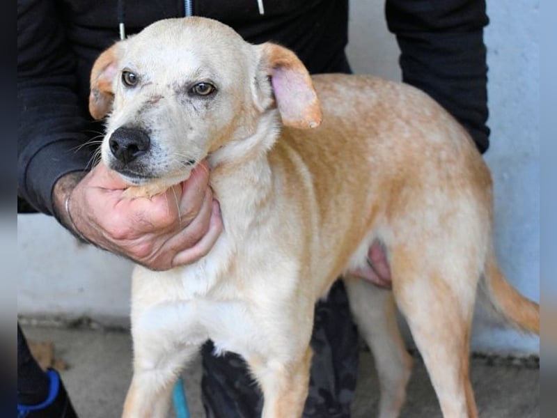Boris - Wie lange würdest du das aushalten?
