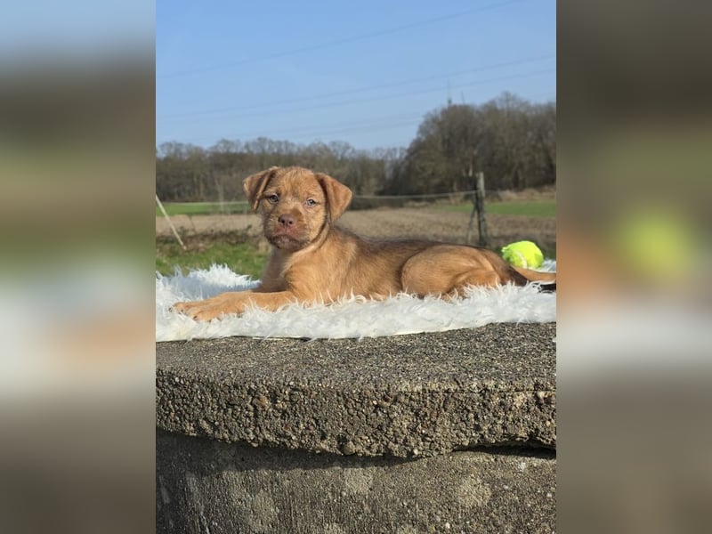 Lumi - Also ehrlich, wir sind doch noch Babys!