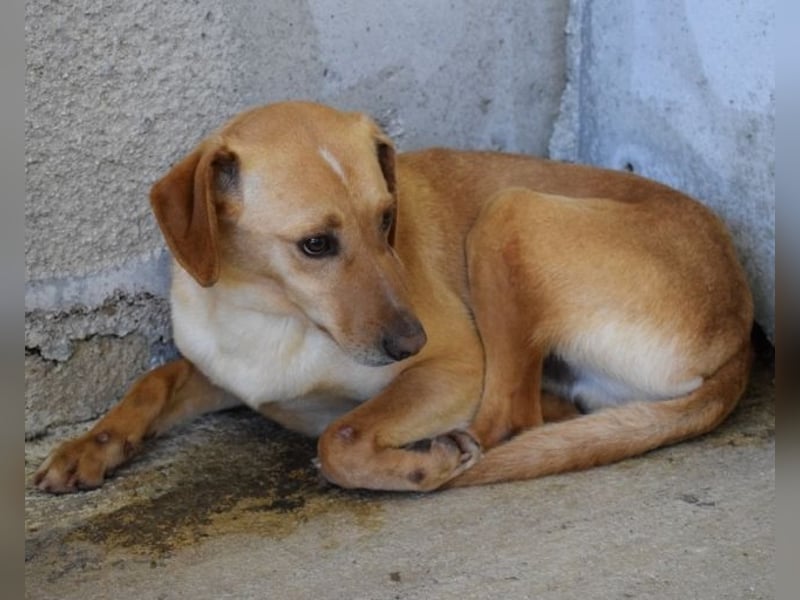 Bendix - wenn du mutig bist, dann bin ich es auch!